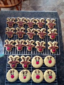 Finished icing my reindeer cookies, which turned out rather cute!
