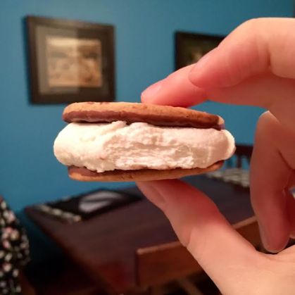 Bedtime s'more.